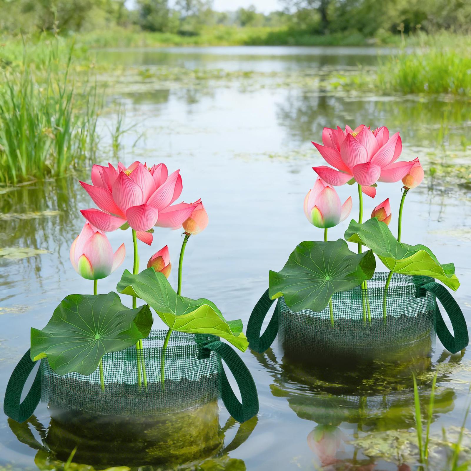 Bonsai Garden With Pond - Pond Baskets for Bonsai 4 Pieces