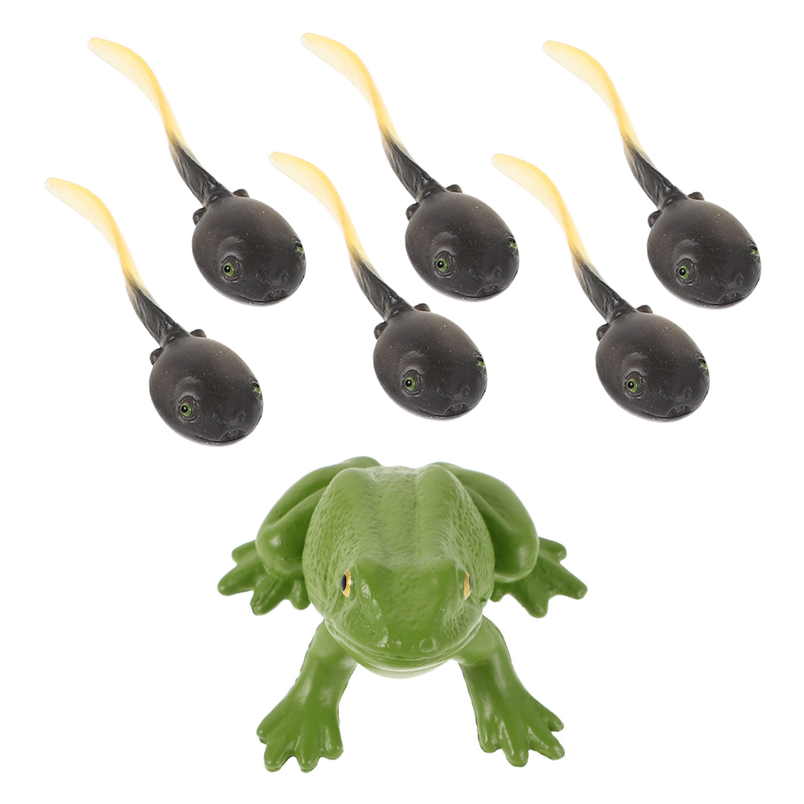 Bonsai Garden With Pond - 1Set Realistic Miniature Frog and Tadpole