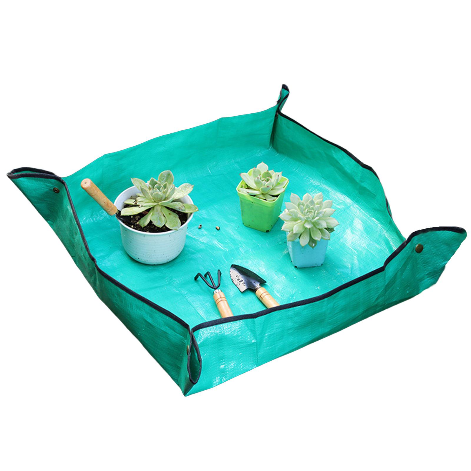 Plant Transplanting Mat Planti - đánh giá và giá Bonsai Repotting Mat
