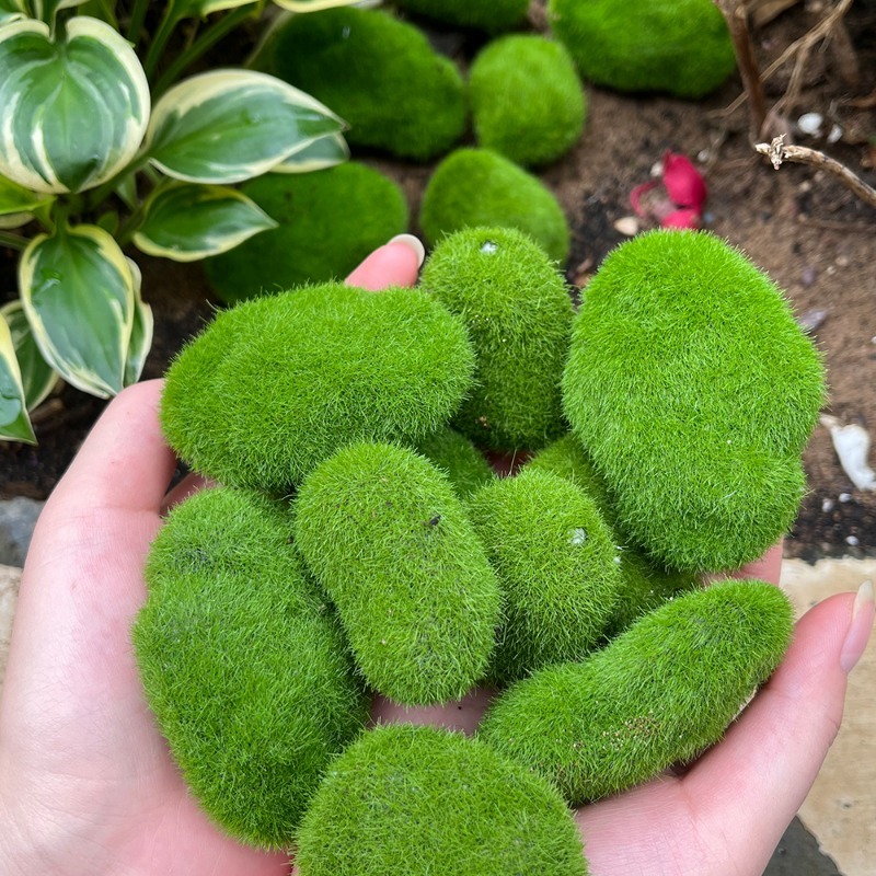 5/30pcs Simulation Moss Stone  - đánh giá và giá Bonsai Rock Garden