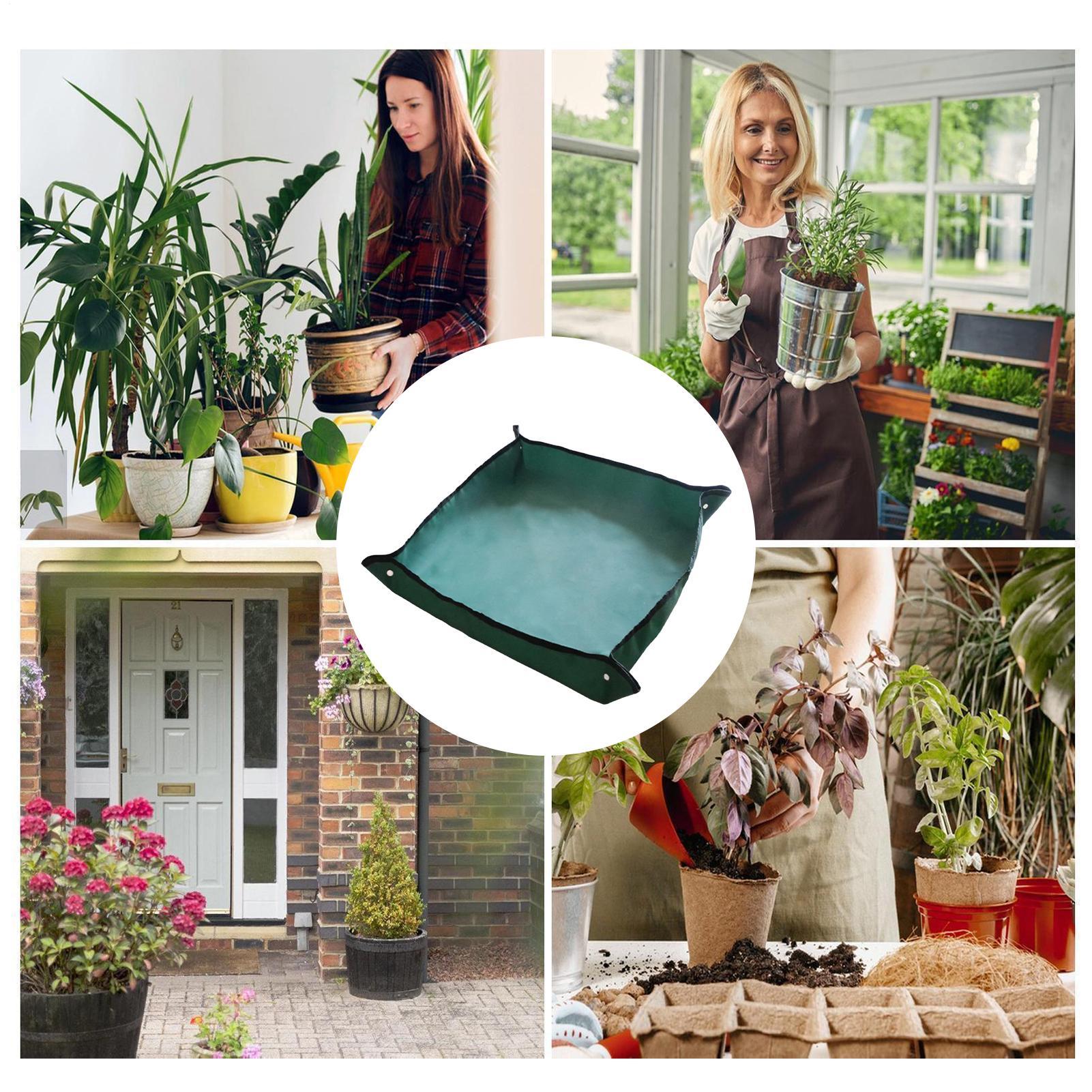 Garden Repotting Mat 29.5x43.3 - đánh giá và giá Bonsai Repotting Mat