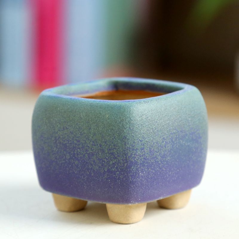 Mini Fleshy Flowerpot Ceramic， - đánh giá và giá Training Pot Ceramic