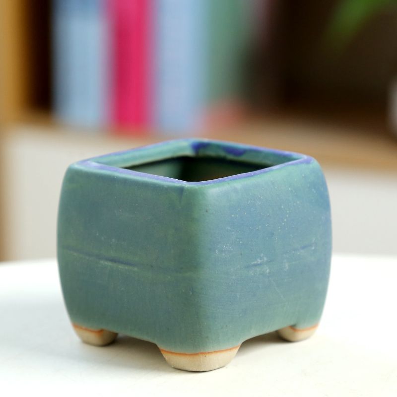Mini Fleshy Flowerpot Ceramic， - đánh giá và giá Training Pot Ceramic
