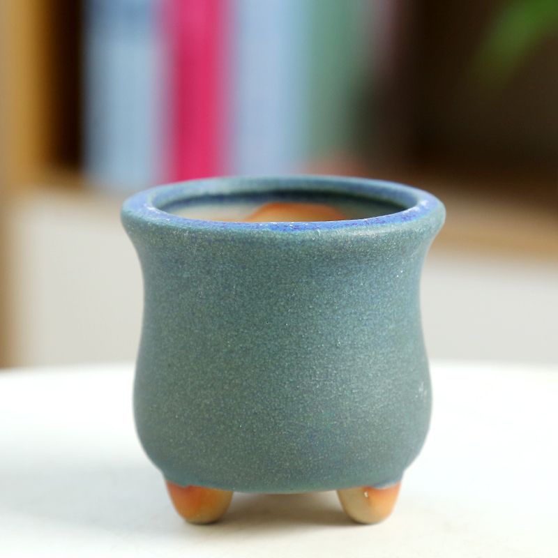 Mini Fleshy Flowerpot Ceramic， - đánh giá và giá Training Pot Ceramic