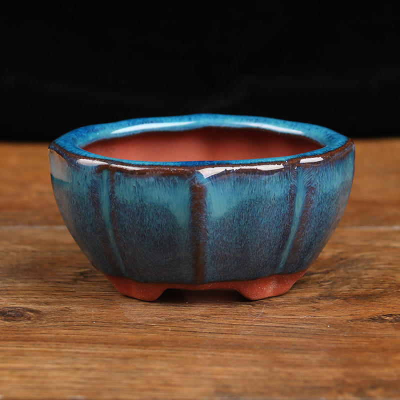 Phong Cách Trung Hoa Cây Cảnh  - đánh giá và giá Training Pot Ceramic