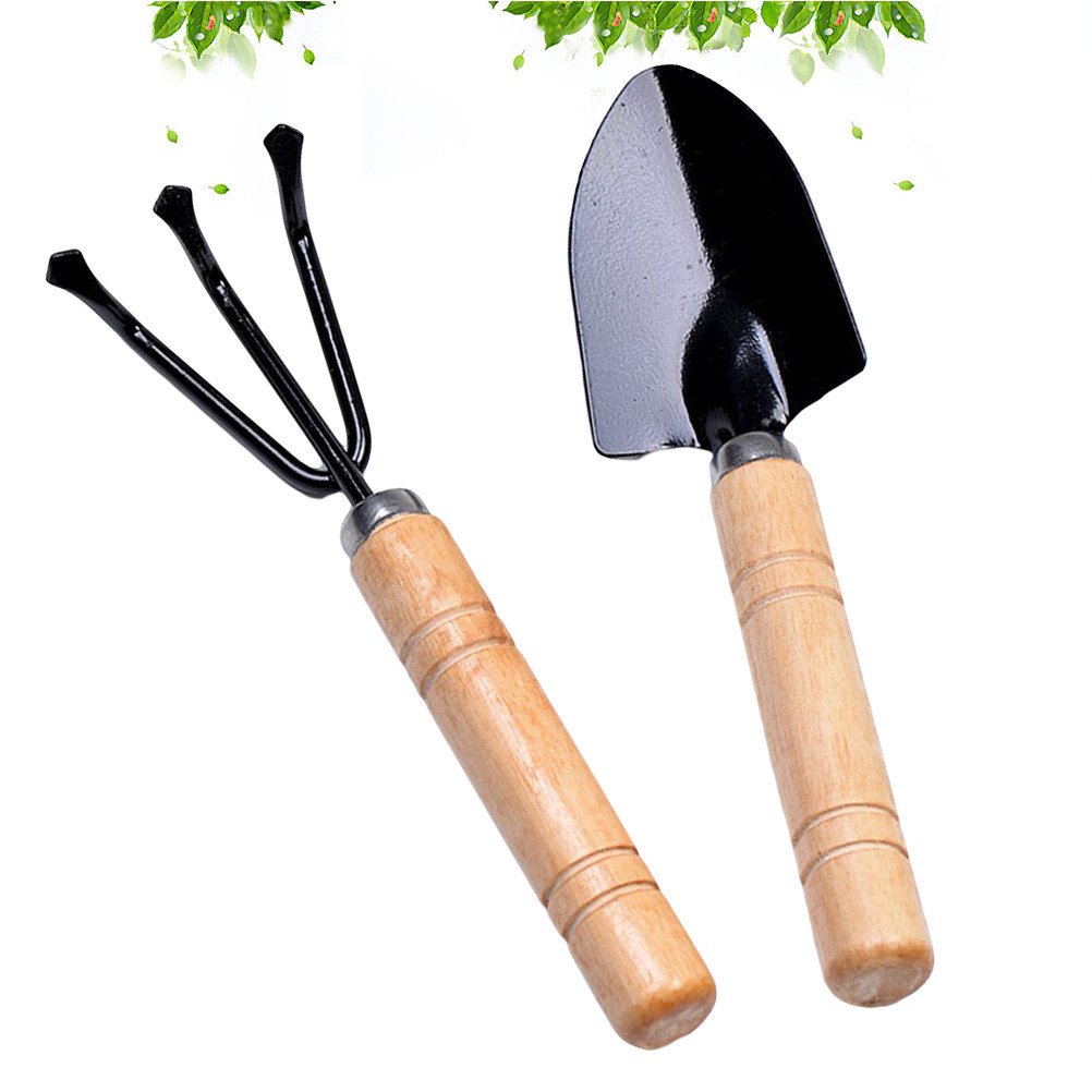 2Pcs Garden Tools Kit Mini Woo - đánh giá và giá Bonsai Garden Rake