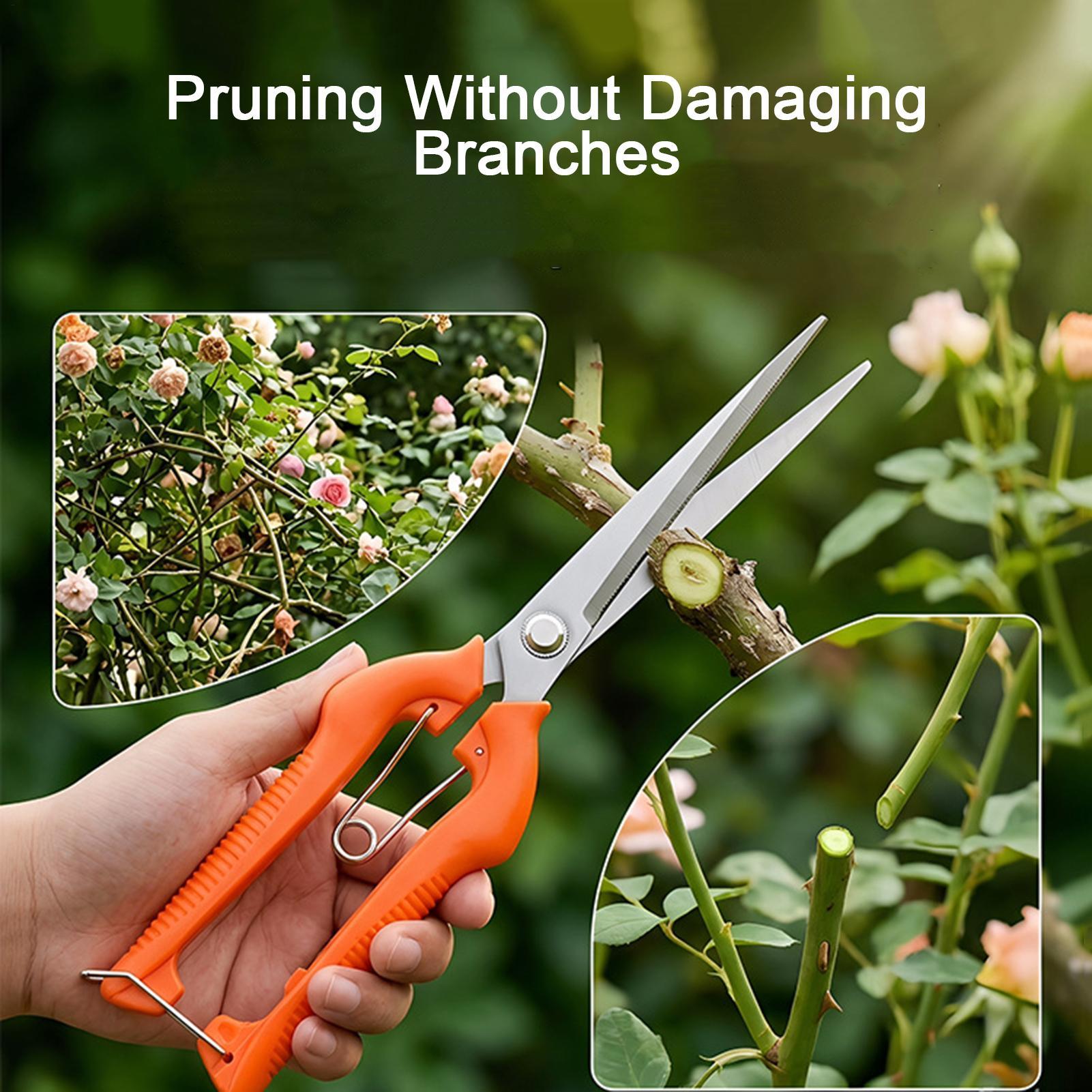 Pruning Shears Grape Scissors  - đánh giá và giá Bonsai Garden Rake