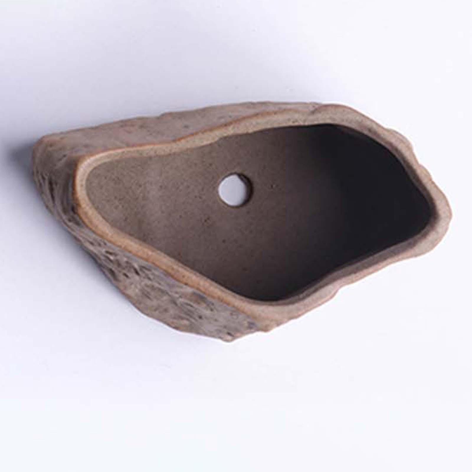 Ceramic Succulent Pot Lightwei - đánh giá và giá Training Pot Ceramic