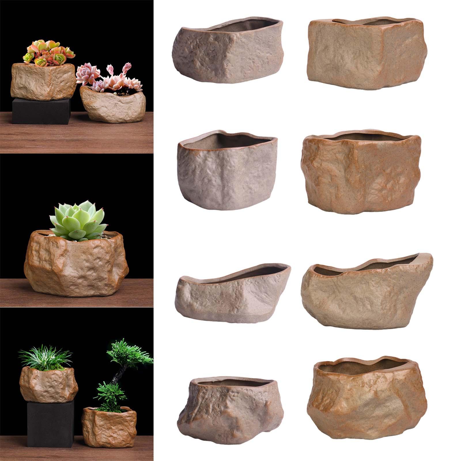 Ceramic Succulent Pot Lightwei - đánh giá và giá Training Pot Ceramic