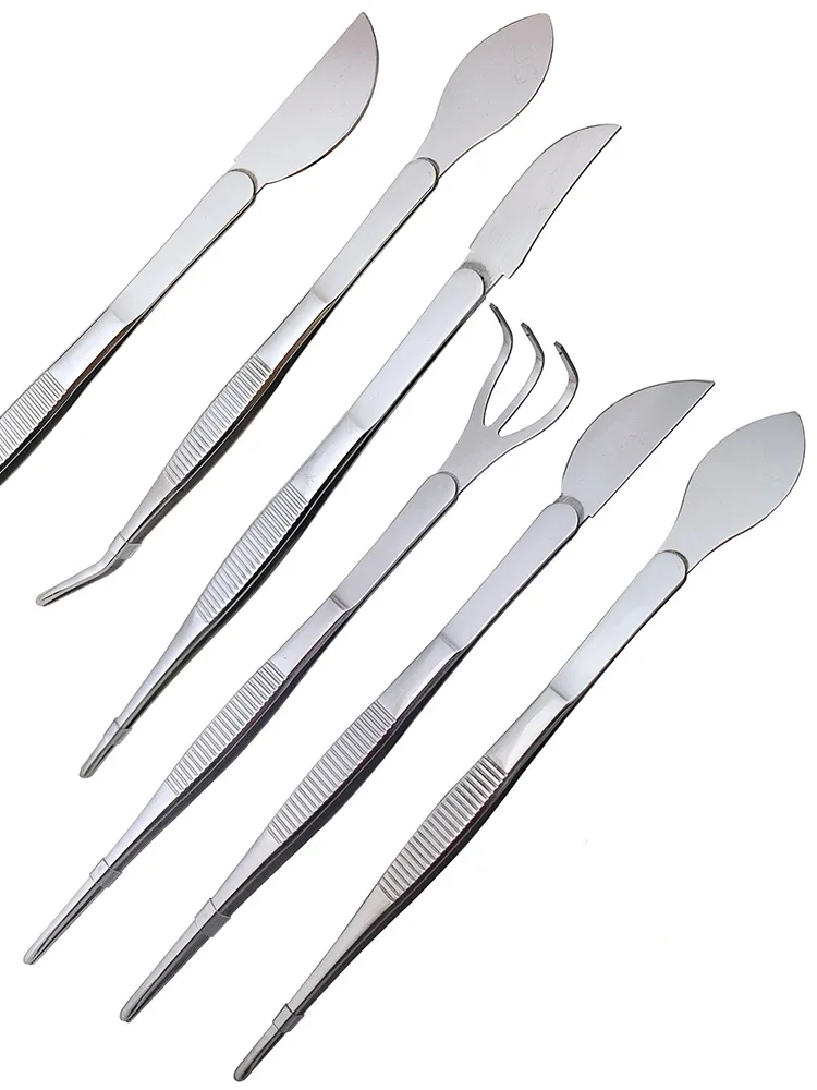 1pc 2-in-1  304 Stainless Stee - đánh giá và giá Bonsai Garden Rake