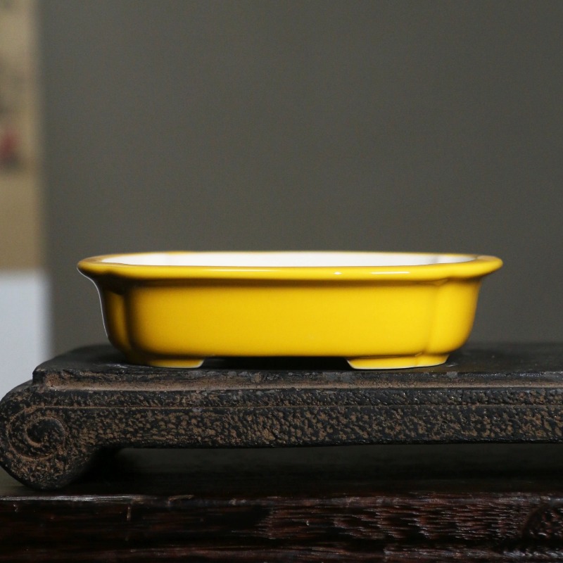 Porcelain Rectangle Bonsai Pot - đánh giá và giá Bonsai Garden China
