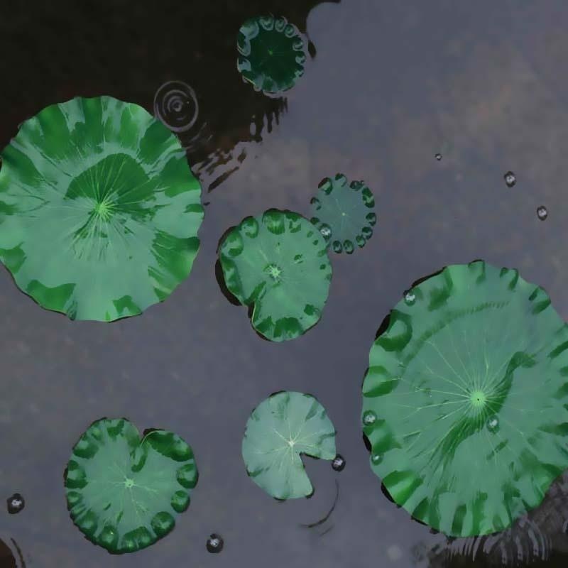 2026 Artificial Water Lily Lot - đánh giá và giá Bonsai Garden With Pond