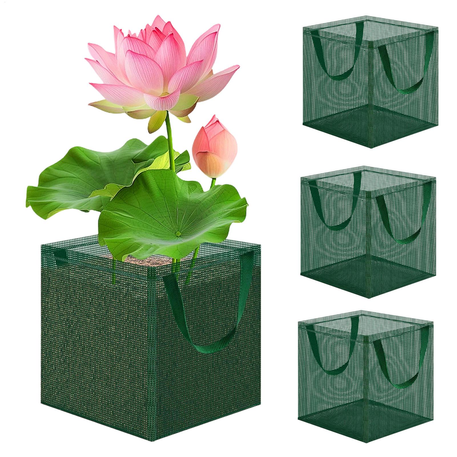 Pond Baskets for Bonsai 4 Piec - đánh giá và giá Bonsai Garden With Pond