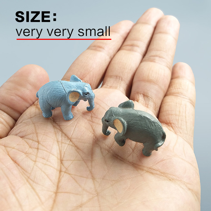 10Pcs Small Elephant Bonsai Fi - đánh giá và giá Japan Bonsai Garden