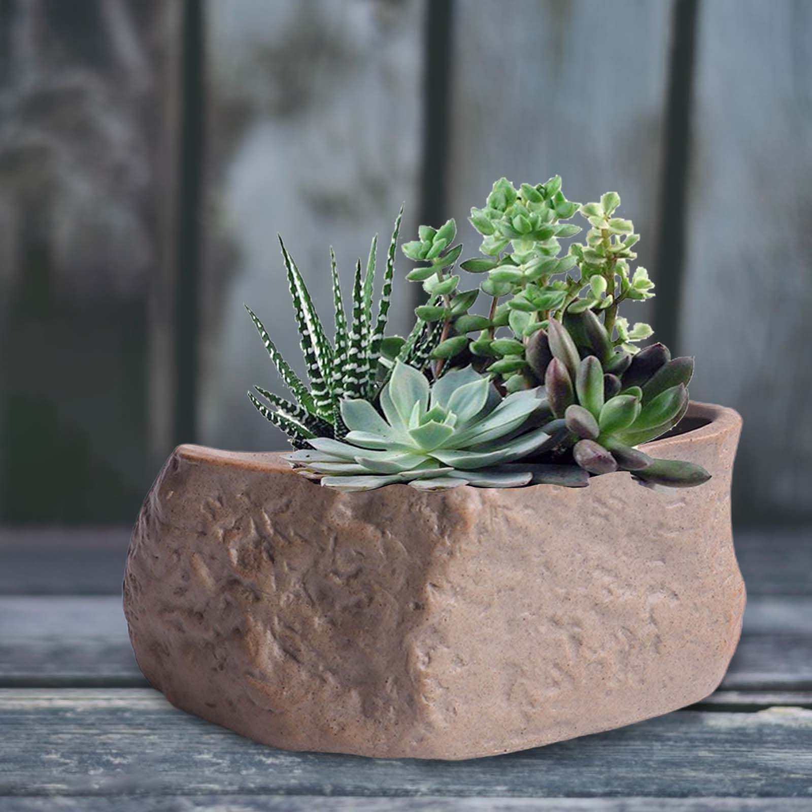 Ceramic Succulent Pot Stone Sh - đánh giá và giá Training Pot Ceramic