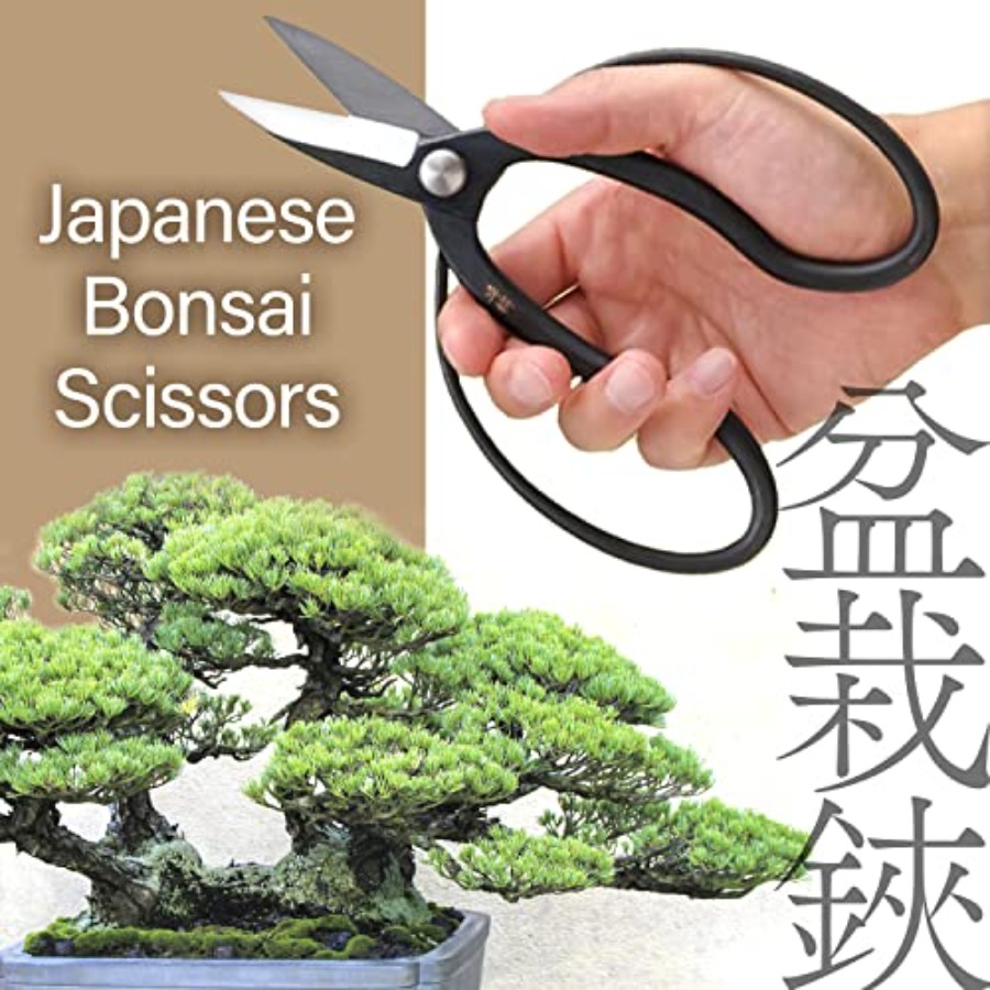 Japanese Suiryu Bonsai Scissor - đánh giá và giá Japan Bonsai Garden
