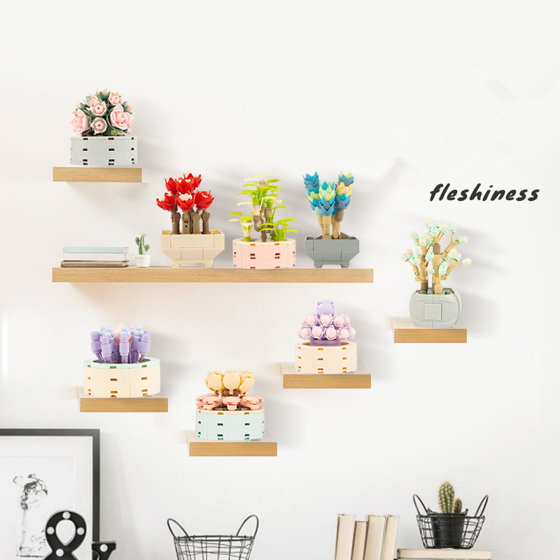 Tự Làm Mộc Chậu Cây Hút Mật Xư - đánh giá và giá Bonsai Garden Experts
