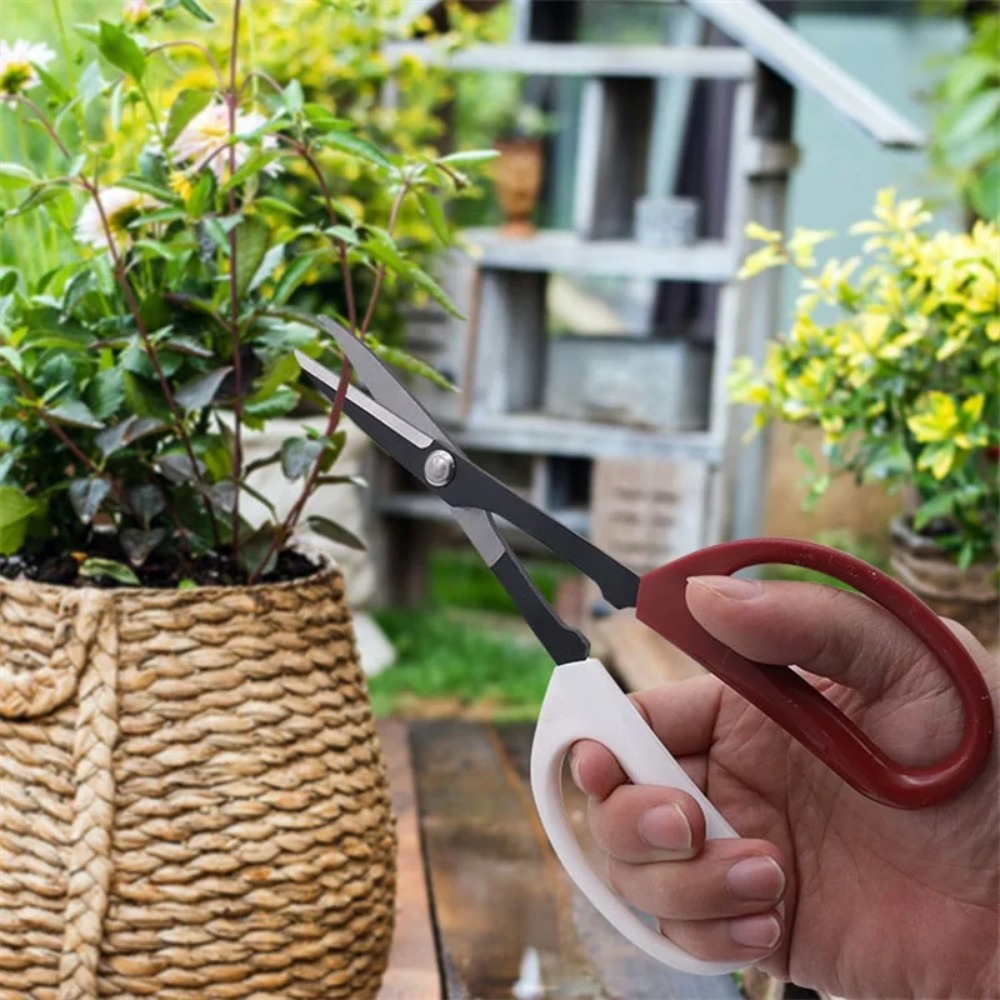 Bonsai Tool Long Handle Scisso - đánh giá và giá Bonsai Garden Rake