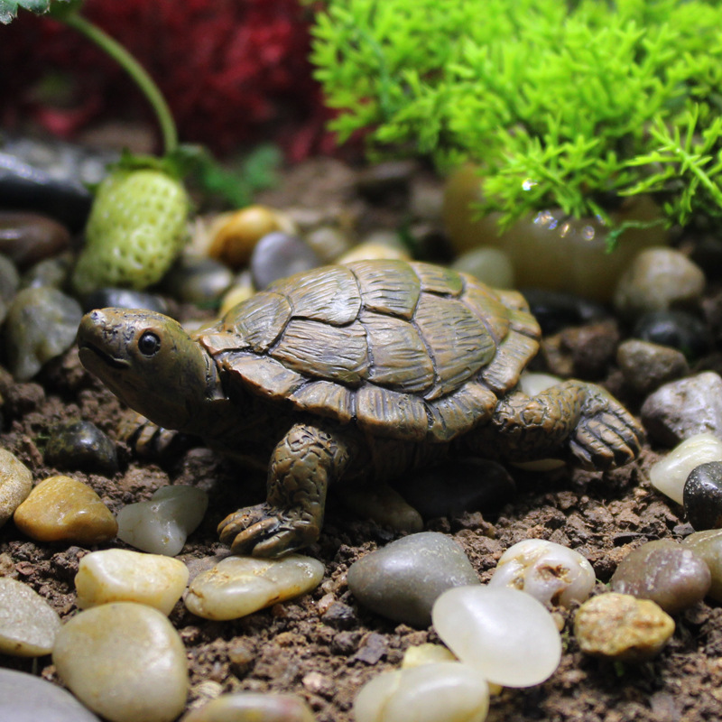 Little Turtle Model Resin Stat - đánh giá và giá Bonsai Garden With Pond